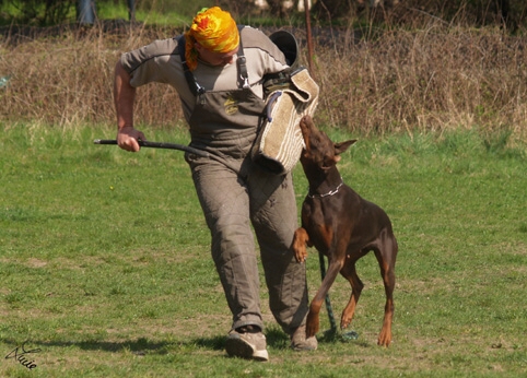 Chocolade Lehmannsfelsen - training 4. 4. 2007